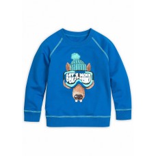 Толстовка для мальчиков 