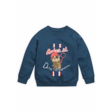 Толстовка для мальчиков 