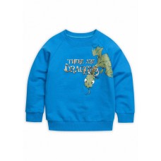 Толстовка для мальчиков 