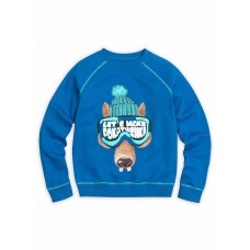 Толстовка для мальчиков 