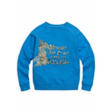 Толстовка для мальчиков 