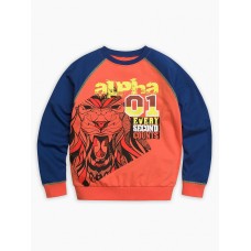 Толстовка для мальчиков 