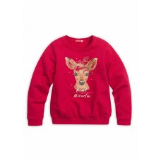 Толстовка для девочек 